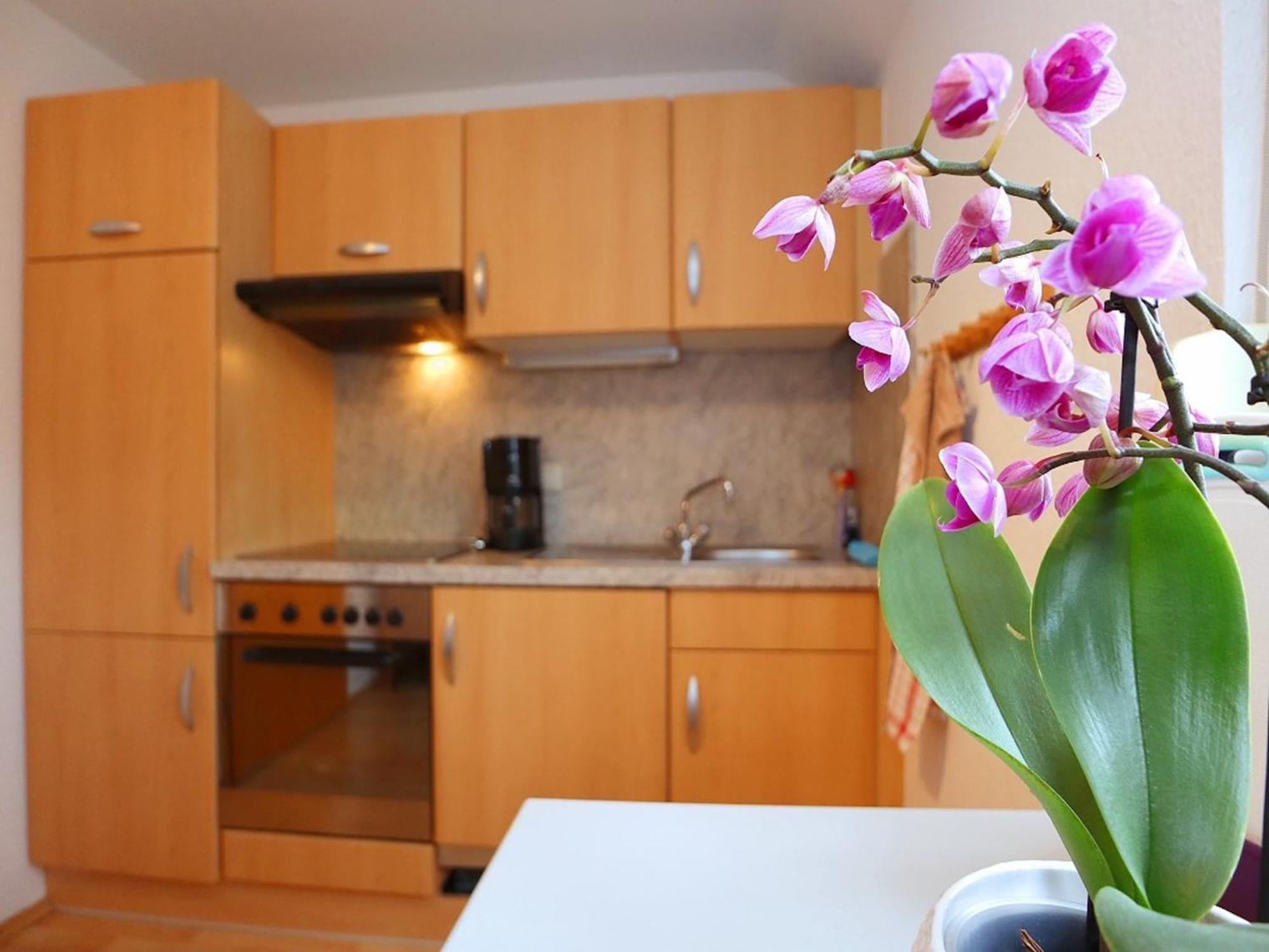 Cozy Apartment In Schwenningen With Garden Villingen-Schwenningen Eksteriør billede