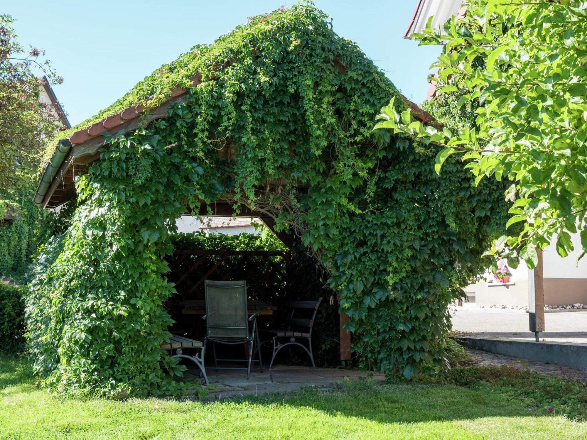 Cozy Apartment In Schwenningen With Garden Villingen-Schwenningen Eksteriør billede